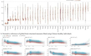 首个中国人群全生命周期脑图表成功构建