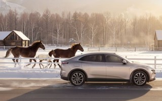 蔚来乐道L60马到成功版车型明天上市交付