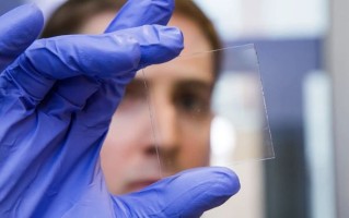 研究人员利用木材成分开发新型透明材料，可用作窗户阻挡紫外线