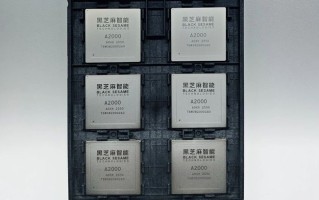 黑芝麻智能华山A2000智驾芯片通过美国审查，推向全球市场