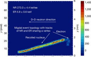 登顶《自然》：我国科学家首次直接观测到米格达尔效应