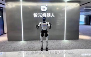 IDC：2025年全球人形机器人出货约1.8万台，中国厂商主导