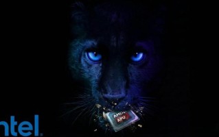 英特尔高管开炮：AMD在掌机市场卖的都是“老古董”芯片