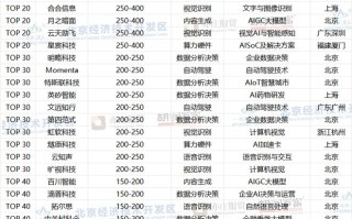 胡润发布2025中国AI企业50强，寒武纪以6300亿元价值居首