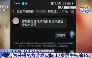高中生为领免费《王者荣耀》皮肤被骗15万 骗子利用支付快捷功能盗刷