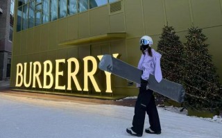 12306回应部分列车标“雪”字：提供托运雪具服务