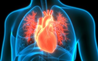 心源性猝死如何急救：记牢这四步