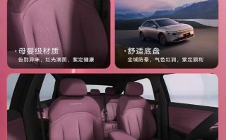 东风日产N6大紫大红内饰色上新：选装价7000元，限时免费送