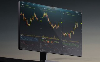 Robinhood高管：特斯拉股票按信仰定价，财报将考验“信仰”