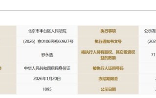 罗永浩所持锤子科技714万元股权被冻结