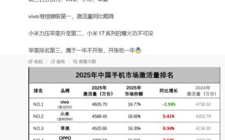 2025年中国手机市场激活量详细数据曝光，vivo、小米、苹果前三