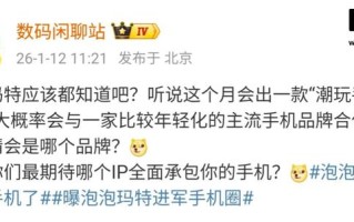 消息称荣耀500系列将与泡泡玛特合作，新机1月19日发布